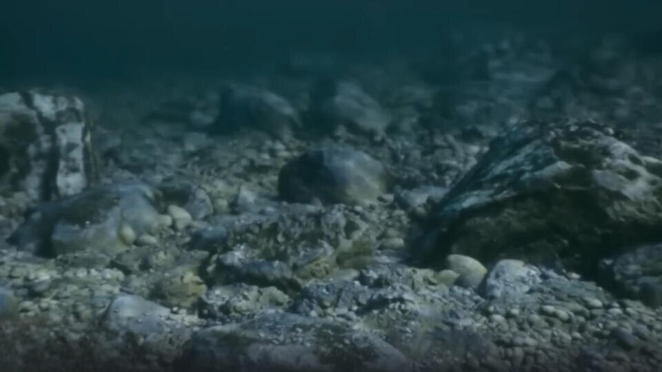 ФОТО: Кадр из программы "Загадки человечества", РЕН ТВ