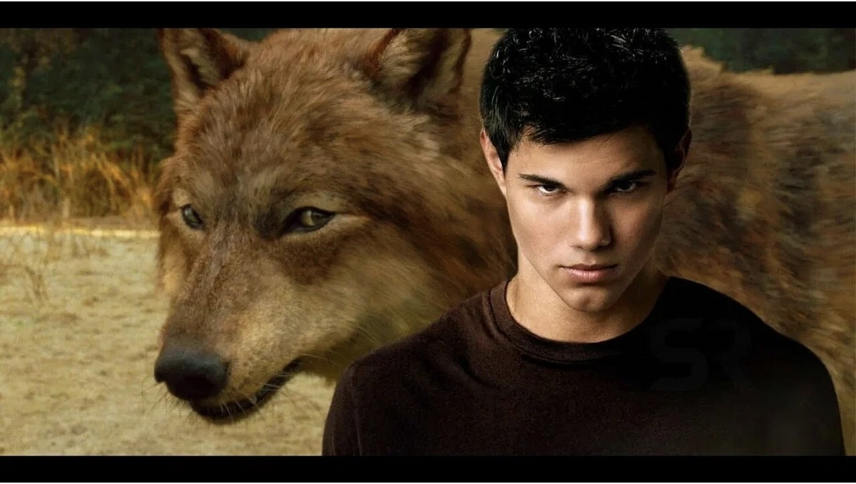 Фото из сети Интернет 