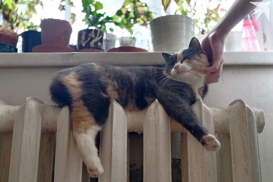    Так как морозы пока не спадают, коммунальные службы продолжают держать руку на пульсе. Алексей БУЛАТОВ