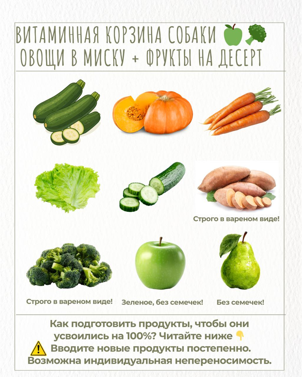 Инфографика