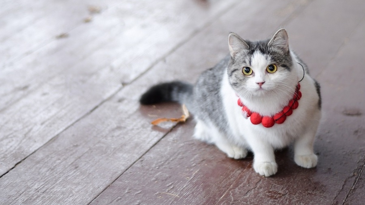 Фото: Рязанский областной научно-методический центр народного творчества