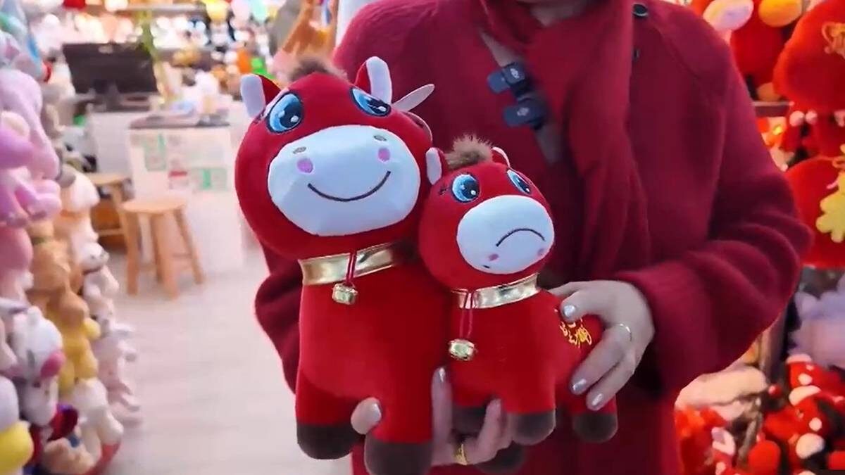    Фото: VK Видео › Мир 24