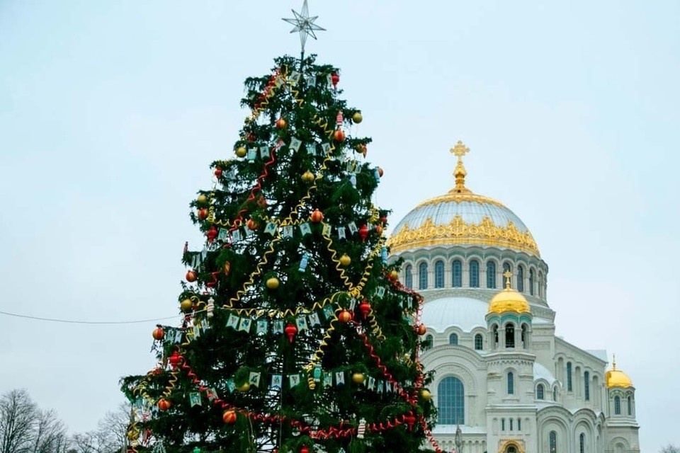    Новогодняя ель в Кронштадте признана лучшей в России Фото: Пресс-служба Смольного