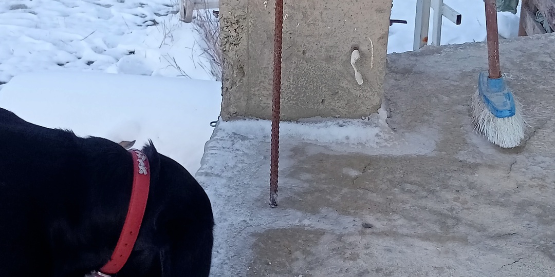 День жестянщика в Анапе