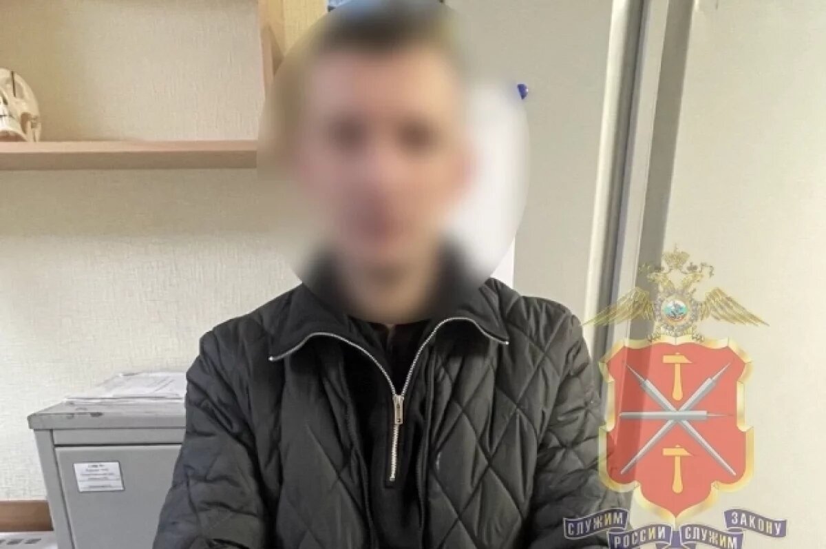    Туляк, угрожая ножом, похитил у прохожей два смартфона