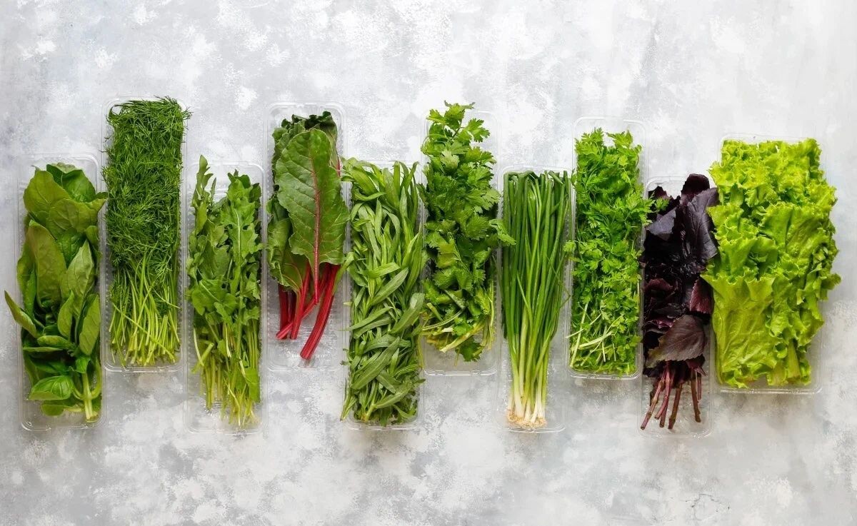 источник: https://eda.show/top-5-zielieni-v-bliudakh-vybiraiem-luchshuiu-dlia-zdorovia/