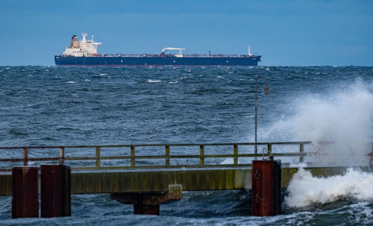     / Источник: © Global Look Press