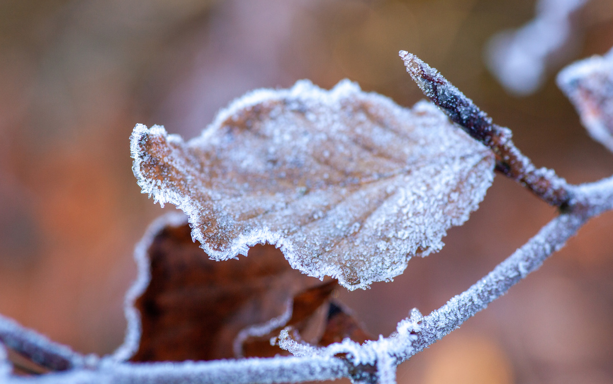   Главные новости Ижевска на 13 января: город вошел в топ-3 по росту цен и подросток погиб у магазина