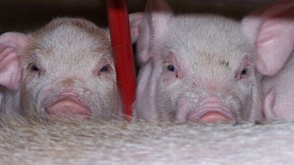    © Flickr / Cathy Stanley-Erickson