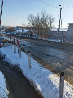 Фото: Антон Гришин  📷
