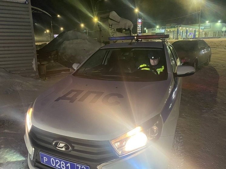     Фото: Госавтоинспекция Тюменской области