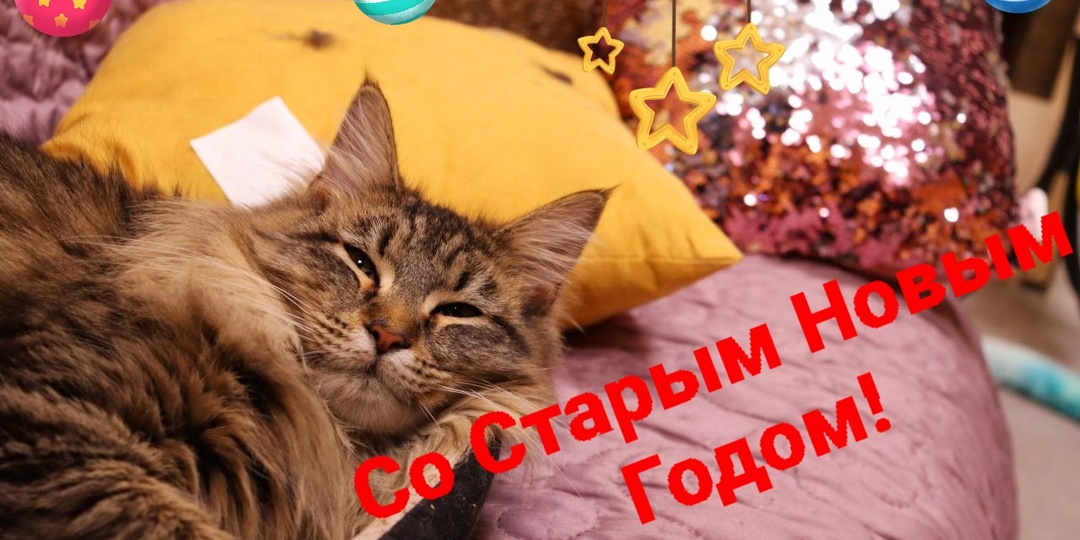 Еще одна ночь, чтобы загадать желание...со Старым Новым годом!