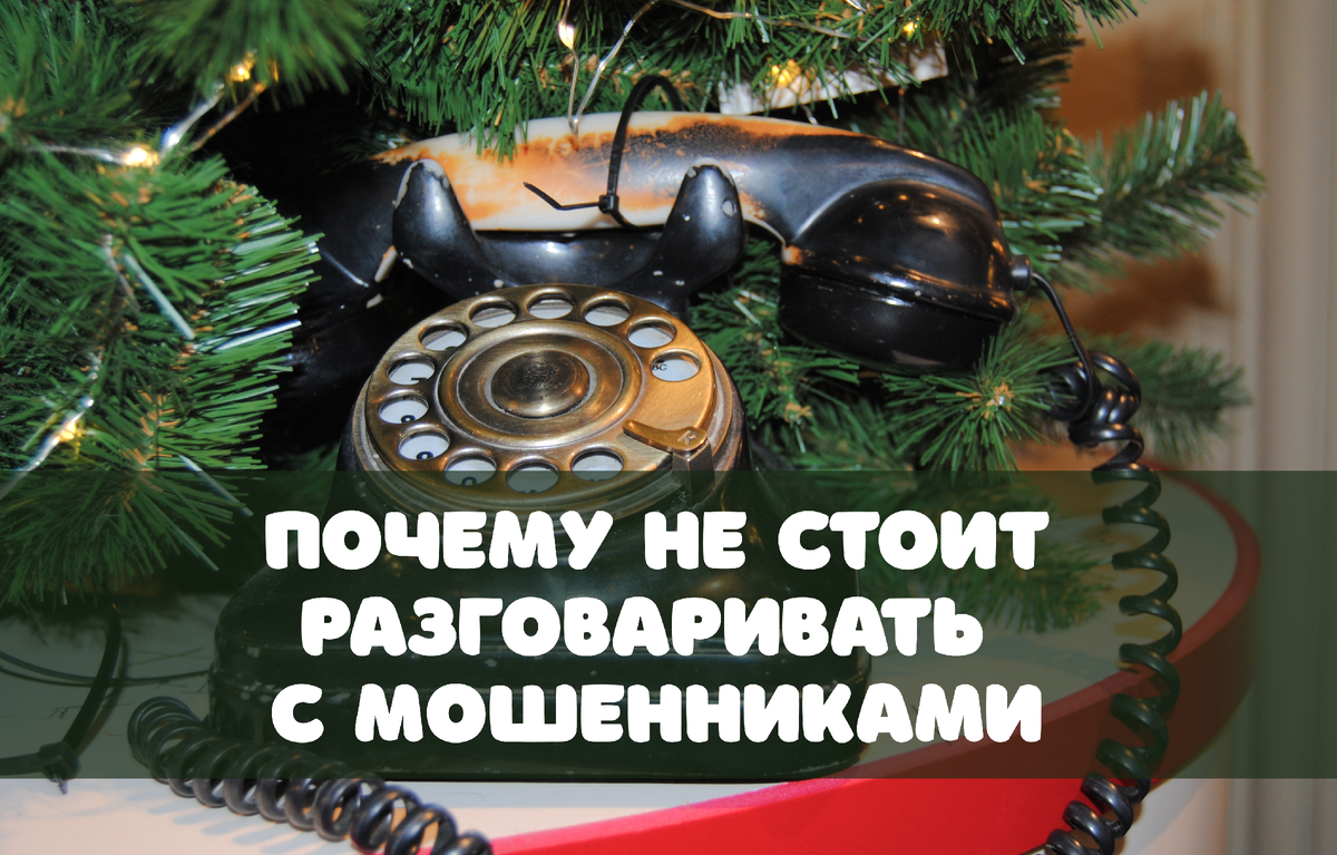 Фото: militina / Shutterstock