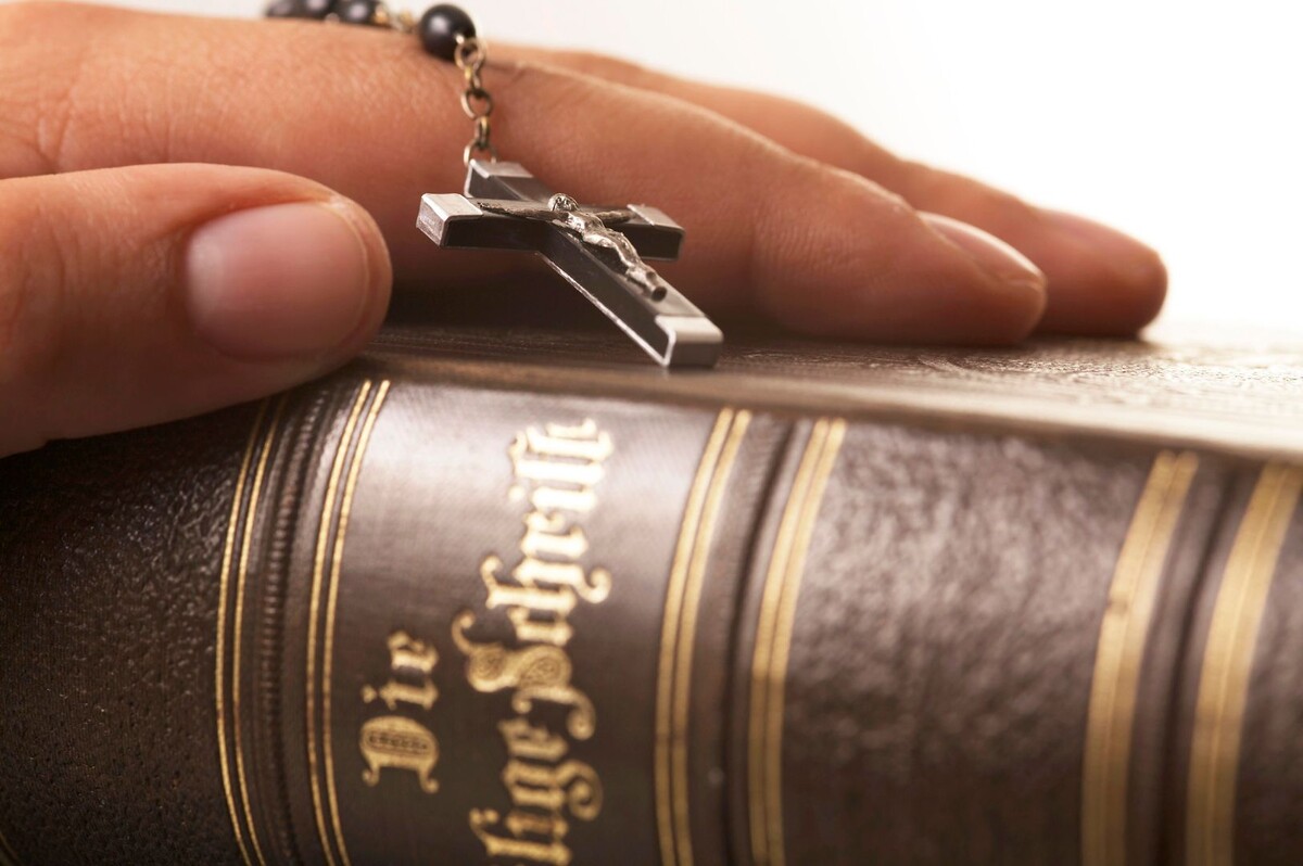     / Источник: © Global Look Press