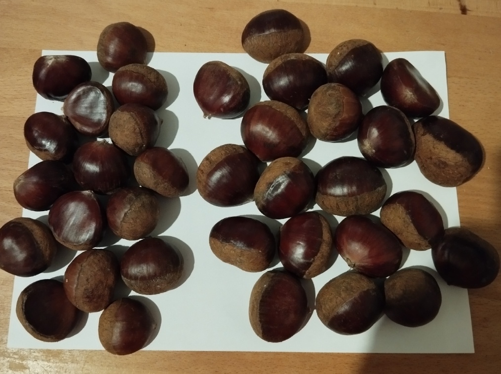 Фото автора статьи : Ворошиловой М. В. 19.11.2025 г. Орехи куплены на маркетплейсе. Там они стояли дешевле, но был недовес! Заказала 1 кг, а пришло 891 гр. Это вес с коробкой. Но орехи были хорошего качества, без плесени, не сухие и были хорошие крупные экземпляры. Для моего дела, они мне подошли. Мелкие орехи съели, часть сырыми попробовали, а часть приготовили. Очень вкусно! 