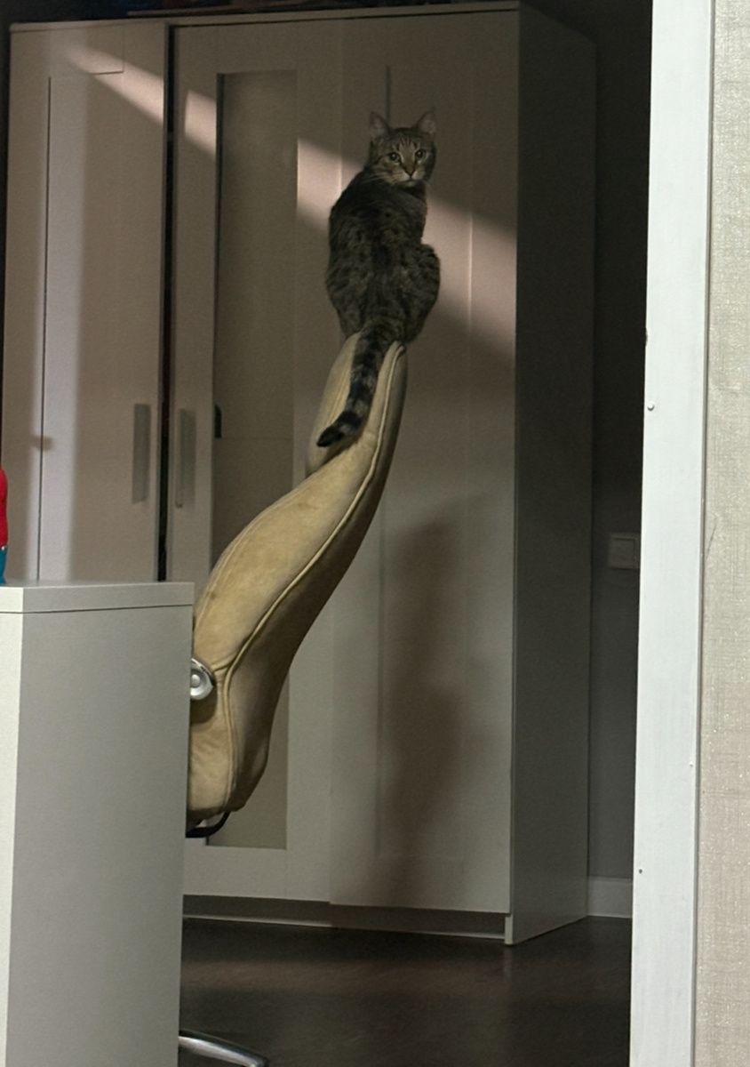 Очередная шикарная история, оскароносная. А когда есть то будем?