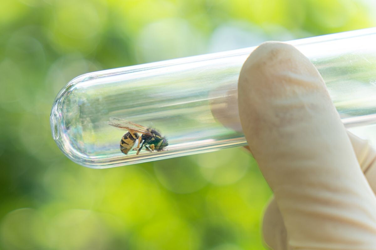 Фото: Diy13 / GettyImages