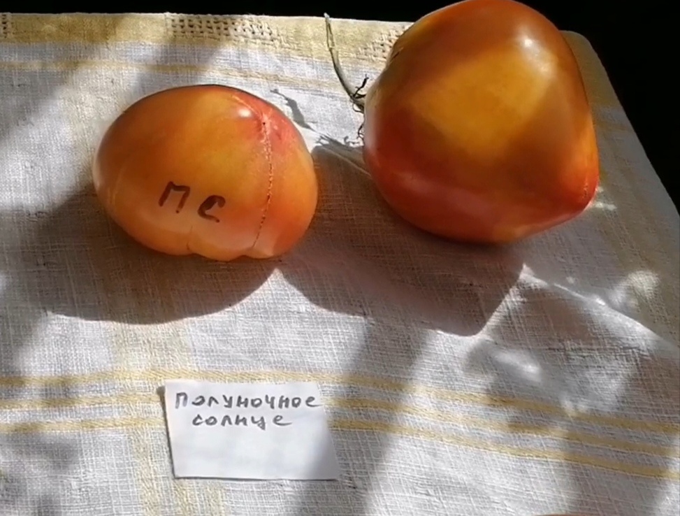 Полуночное солнце