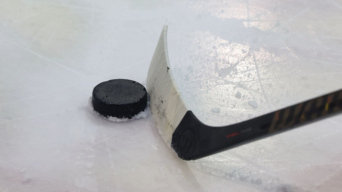    Фото: Андрей Ткачев / «Ямал-Медиа»