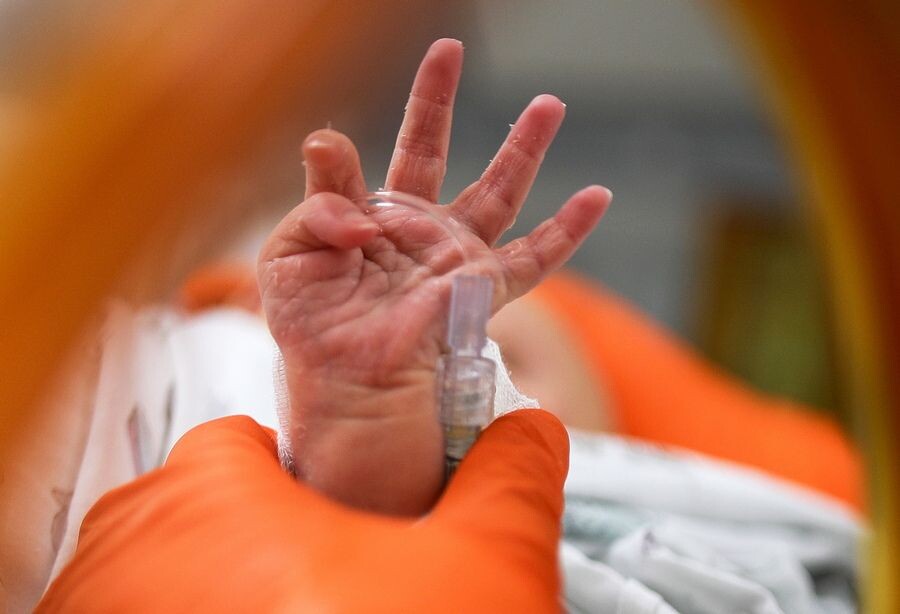     / Источник: © Сергей Бобылев/ТАСС