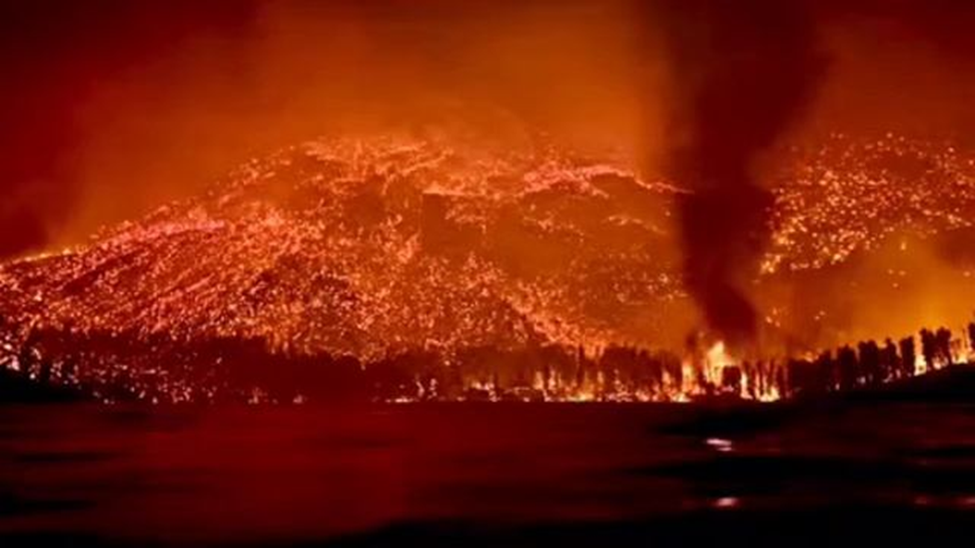 Горящие леса Патагонии