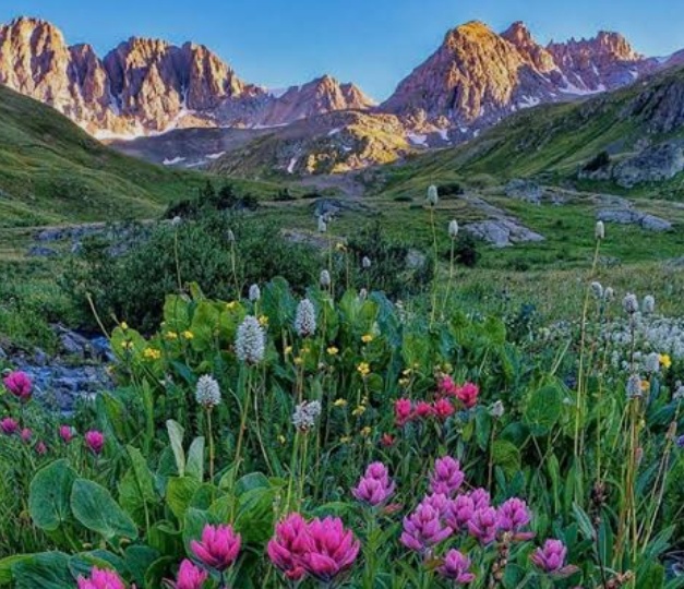 Однажды в горах.💕🪱🦂