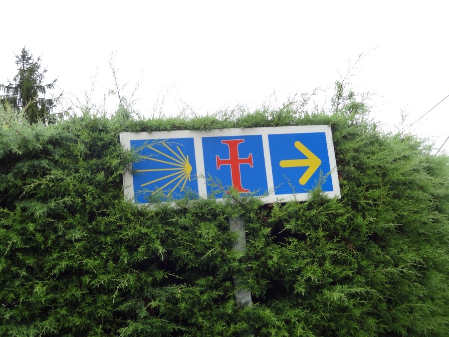 Типичные указатели Пути  