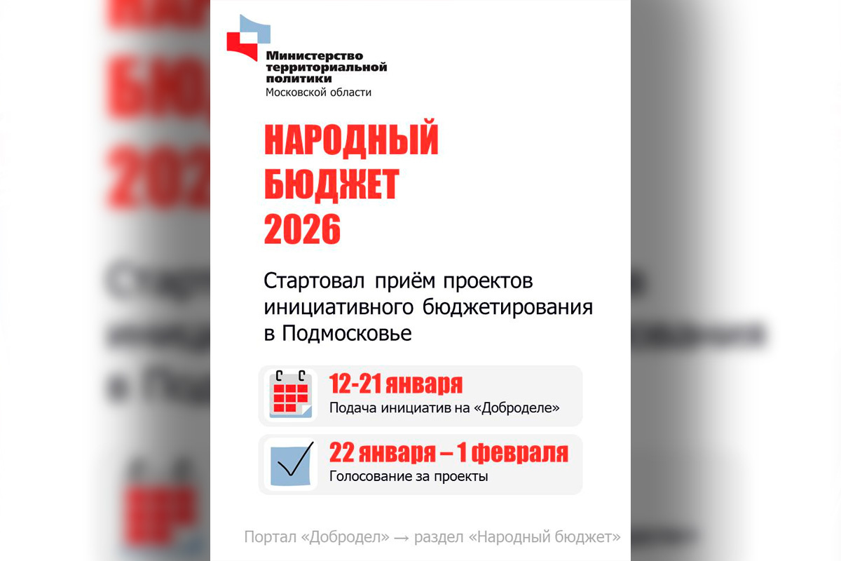    Фото: Министерство территориальной политики Подмосковья