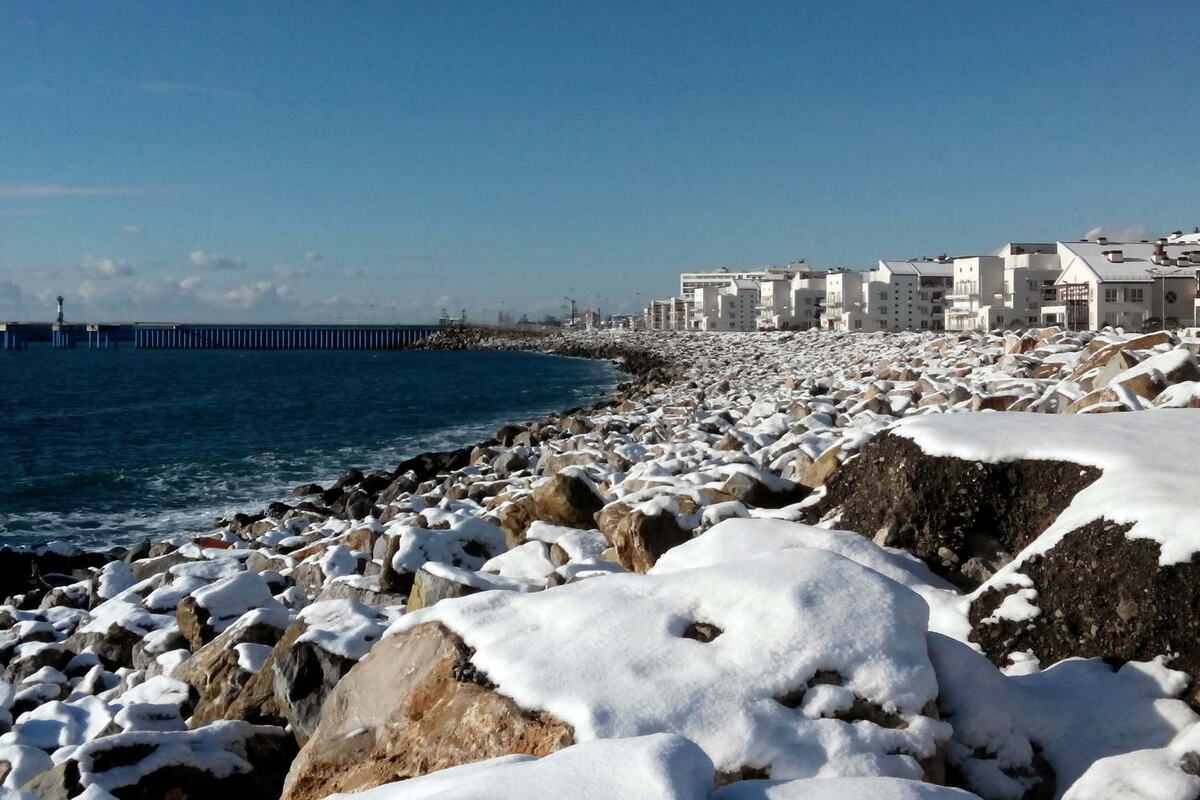    Фото: пресс-служба ФТ Сириус