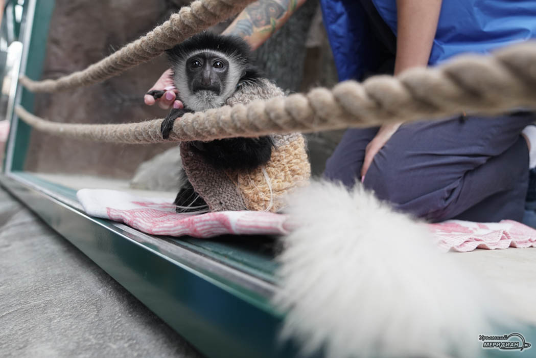    Фото: Лидия Аникина © ИА «Уральский меридиан»