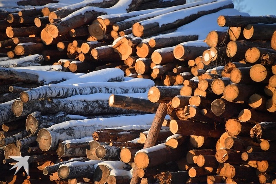    Продукция была отправлена в страны ближнего и дальнего зарубежья Иван МАКЕЕВ