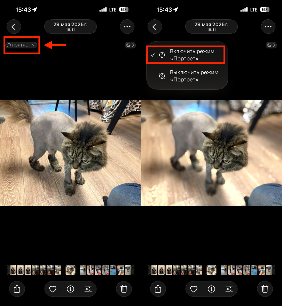    Таким же способом портретный режим можно выключить
