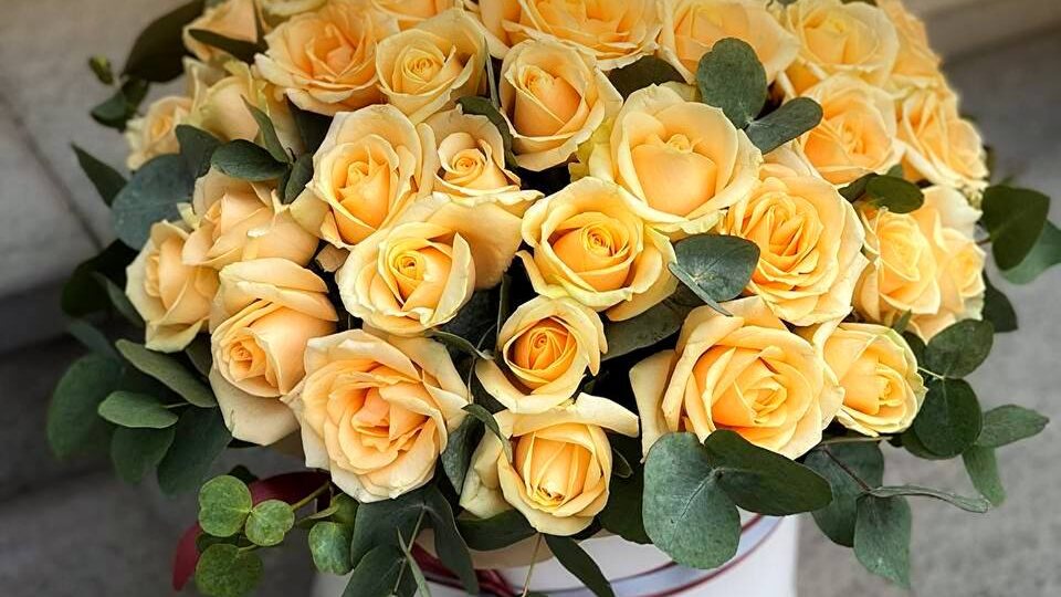 Кажется, праздники — не единственный повод встретиться с близкими