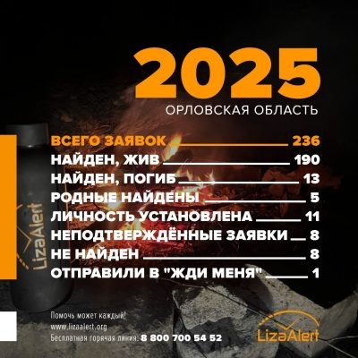 Изображение: вк, «ЛизаАлерт» Орловской области  📷
