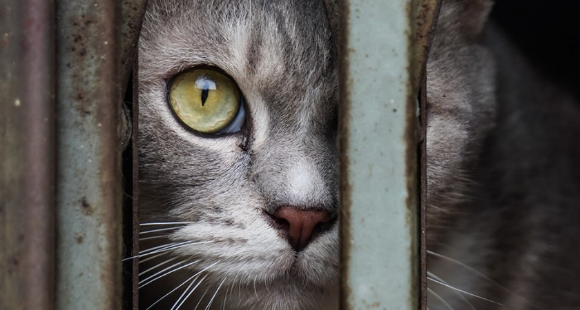    Фото: istockphoto.com/Rizky Ade Jonathan