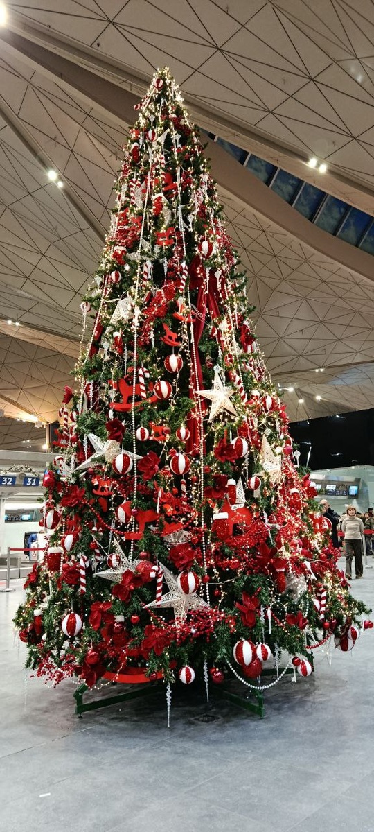 Родное Пулково Встретило нас оукрашенной елочкой