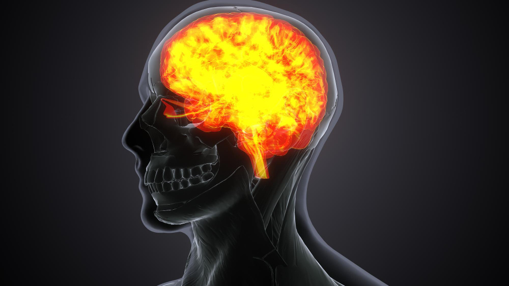 Органические поражения головного мозга. (источник изображения: freepik.com)