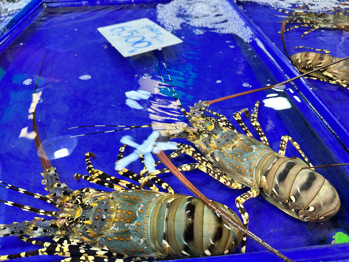 Лангуст на рыбном рынке в Паттайе.