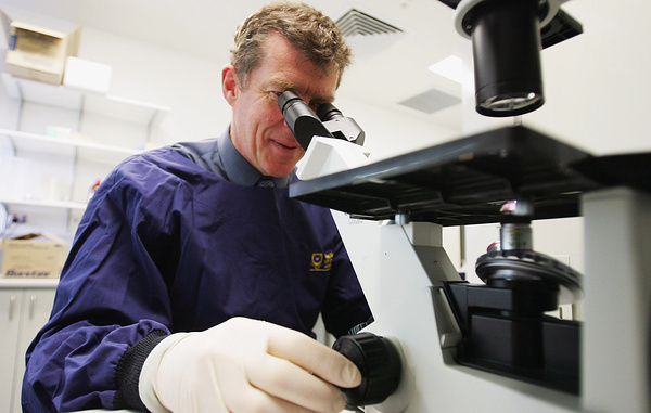 Jonathan Wood/Getty Images