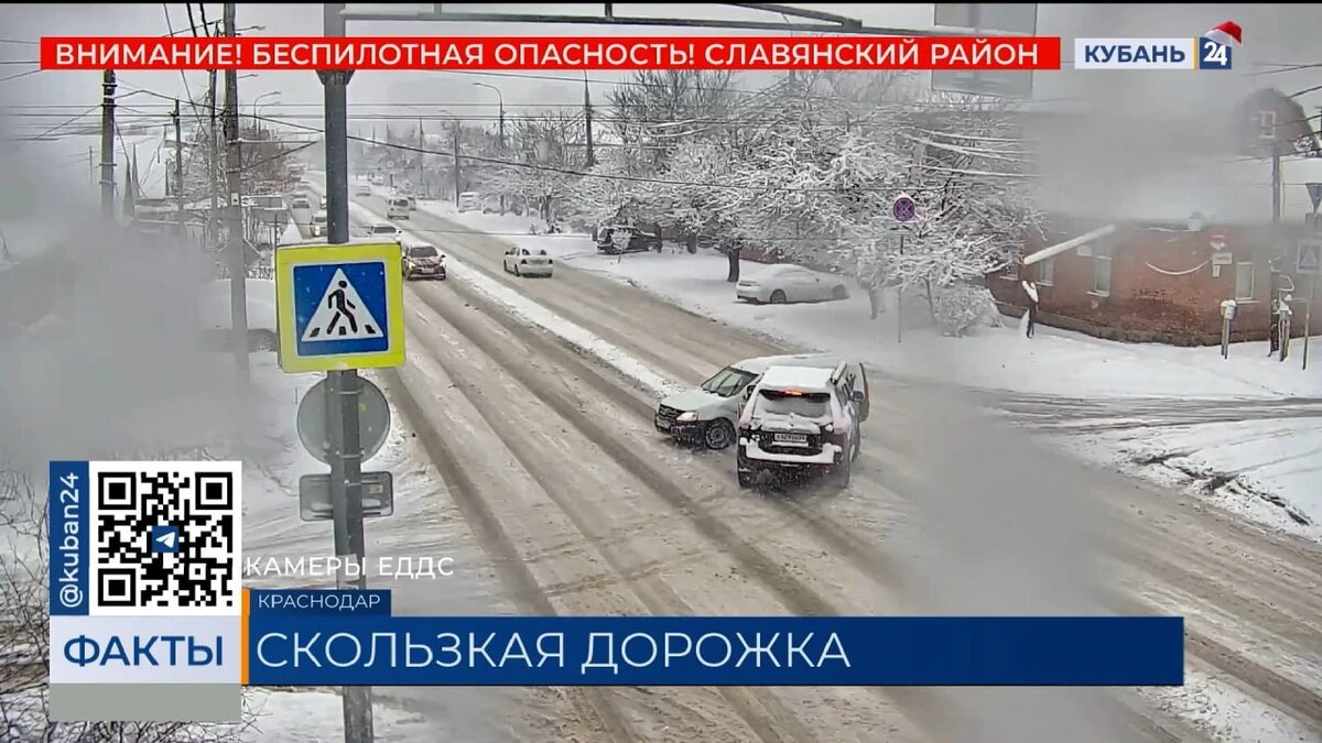    Скриншот видео телеканала «Кубань 24»