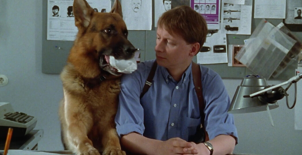 Почему мы смотрим трукрайм и что нам это дает?