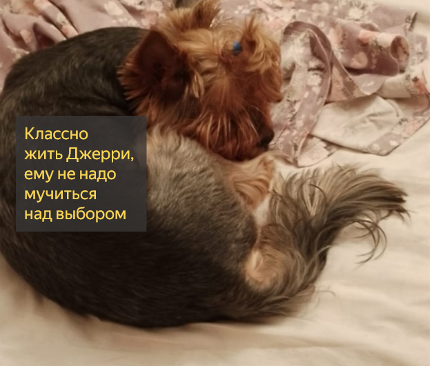 Я против, звучит как Баба-яга против