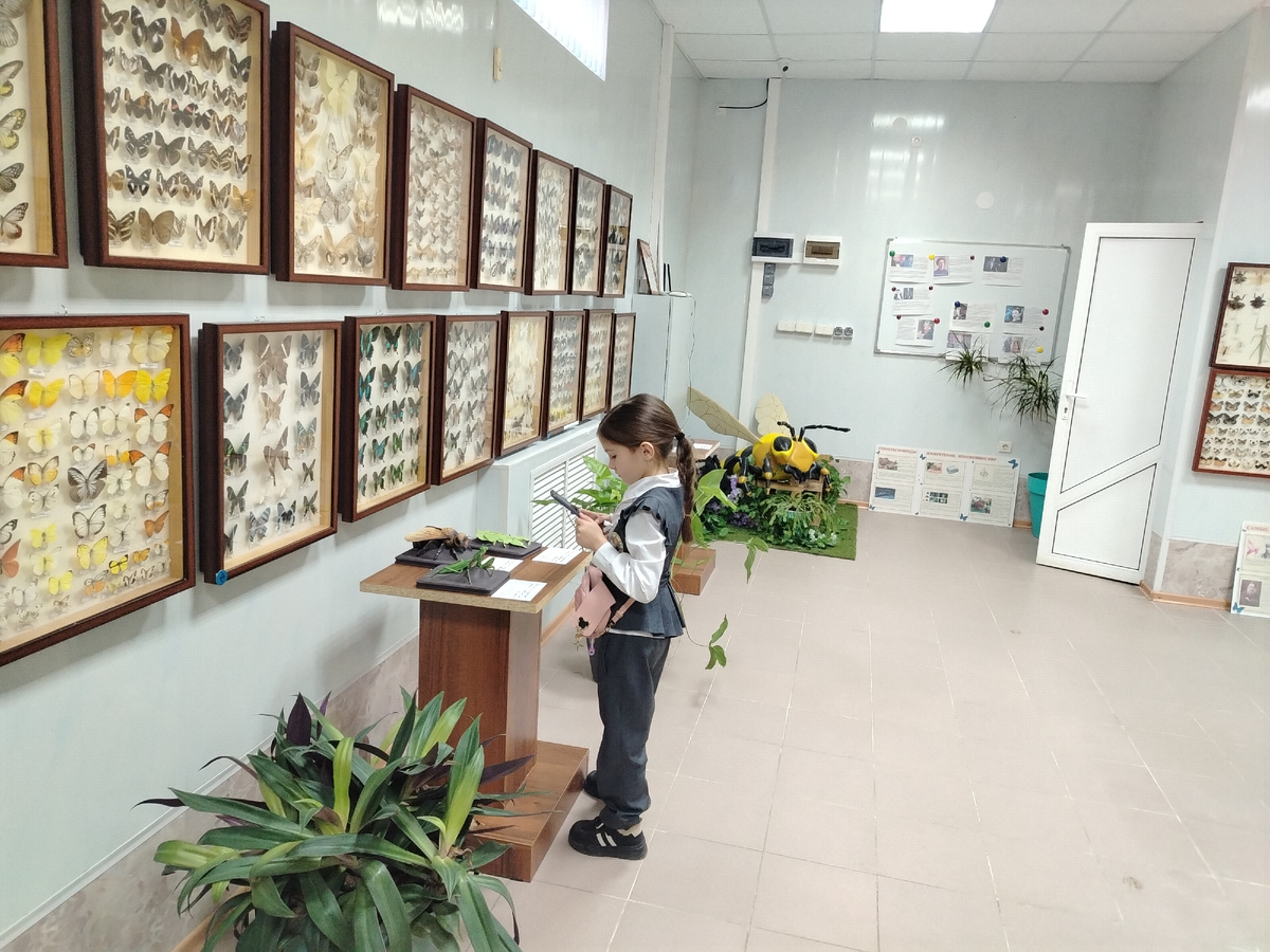 ЧУ Музей "Насекомые мира"