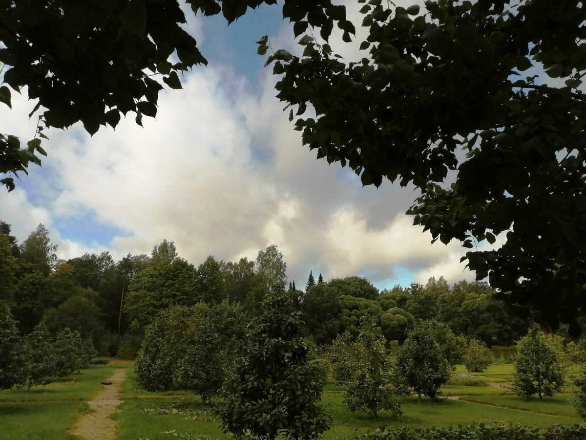 © Copyright: Максим Вячеславович Гуреев, фото