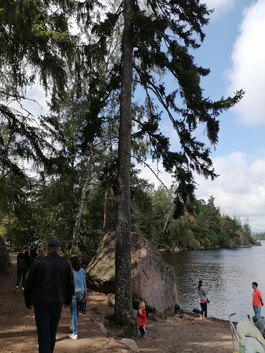 © Copyright: Максим Вячеславович Гуреев, фото