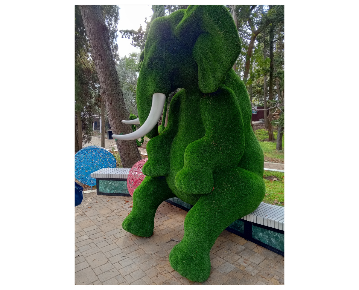 Фото авторов