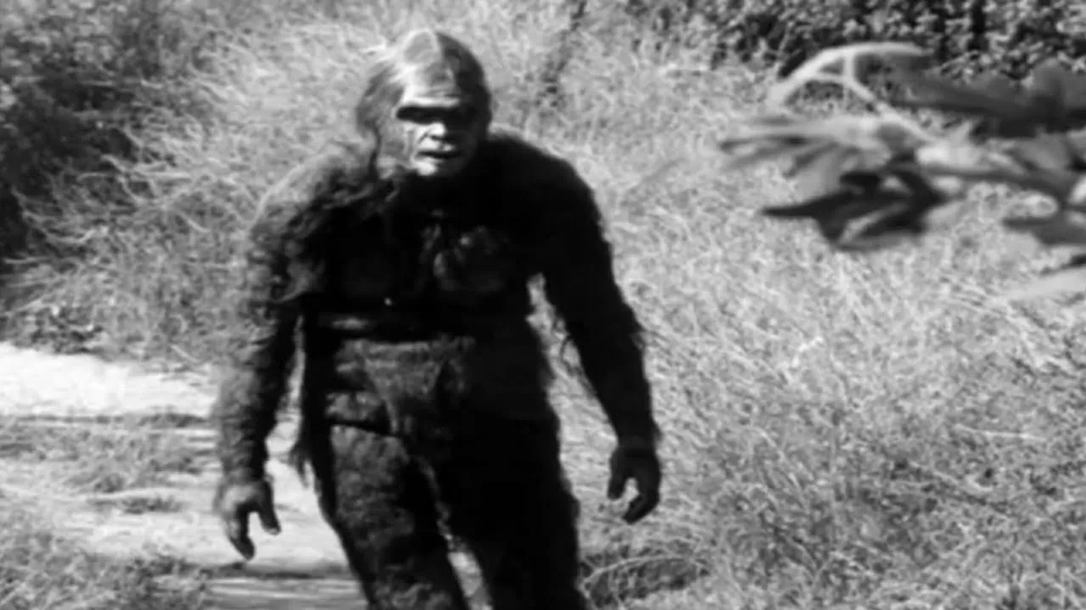 Картинка взята с открытого источника https://avatars.mds.yandex.net/i?id=613eab147d34436062afe7ba10454bc3_l-4820816-images-thumbs&n=13 Картинка взята с интернета https://avatars.mds.yandex.net/i?id=613eab147d34436062afe7ba10454bc3_l-4820816-images-thumbs&n=13