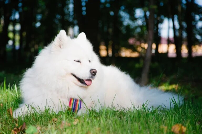    Фото: Общественная Служба Новостей Марта Леви