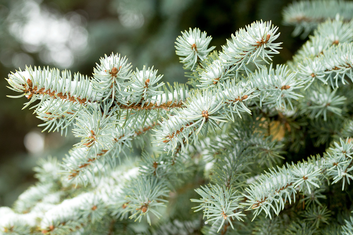    Фото: kzww / Shutterstock.com