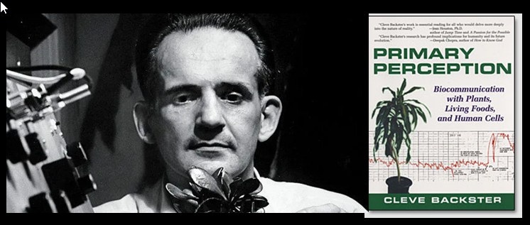 Название: «Первичное восприятие. Биокоммуникация с растениями, продуктами питания и человеческими клетками» (Primary Perception.
Biocommunication with Plants, Living Foods, and Human Cells).
Описание: книга стала итоговым трудом исследований Бакстера в области биокоммуникации. В ней исследователь описал свой 36-летний труд и исследования, в том числе опыты с растениями, бактериями, яйцами, кровью.